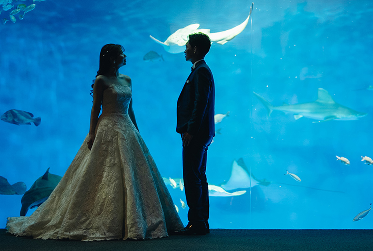 神戸ランドマークウエディングイメージ